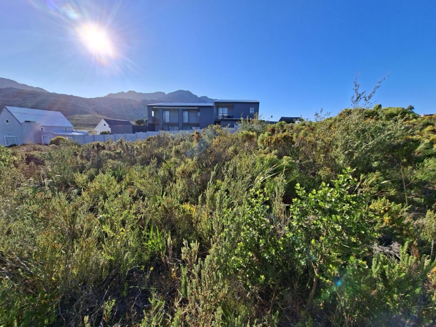 0 Bedroom Property for Sale in Pringle Bay Western Cape